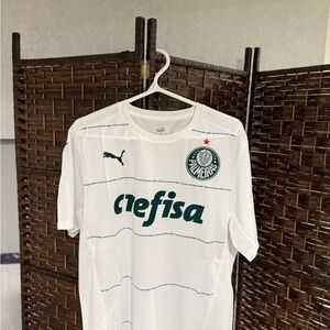 Palmeiras Away 2024 Soccer Jersey
